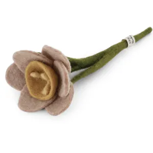 Hovedbilde Ullblomst - rosa p&aring;skelilje – 18 cm