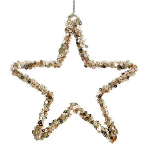 Hovedbilde Shishi stjerne med paljetter – Champagne 12 ...