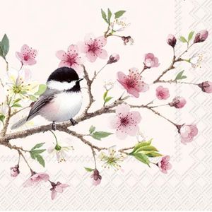 Hovedbilde Servietter Little Birdie Light Rose - kaffe