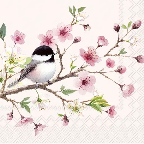 Servietter Little Birdie Light Rose - kaffe