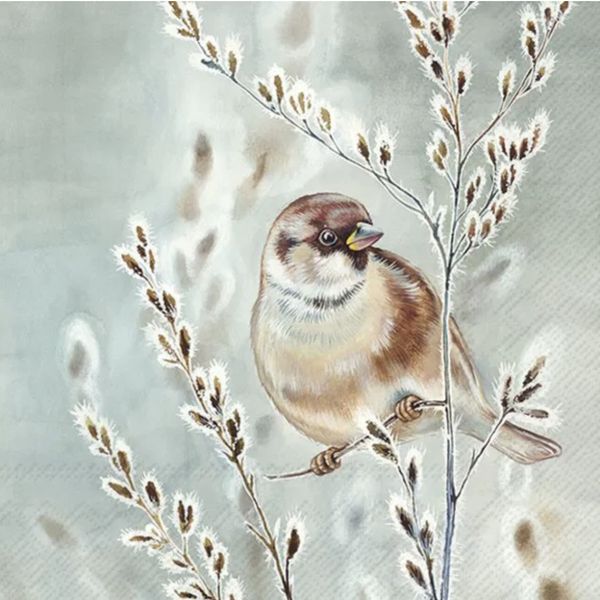 Servietter Winter Melody Blue Green -kaffe