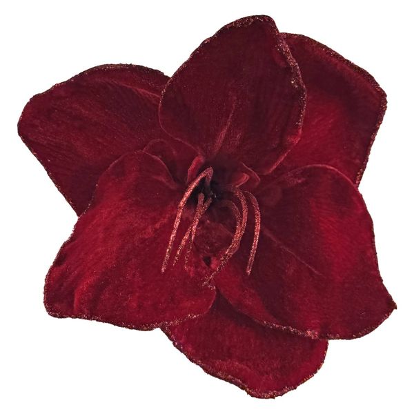 Amaryllis i rød velur med klype