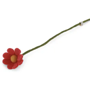 Hovedbilde Ullblomst Anemone melon - 30cm