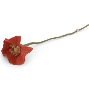 Hovedbilde Ullblomst valmue - korall 34cm