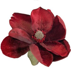 Hovedbilde Shishi fl&oslash;yelsmagnolia med klype – ...